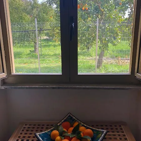 Apartmán Villetta L'Aranceto Casa Immersa In Campagna Montescaglioso