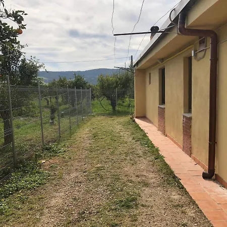 Villetta L'Aranceto Casa Immersa In Campagna Montescaglioso