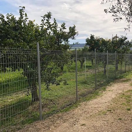 Villetta L'Aranceto Casa Immersa In Campagna