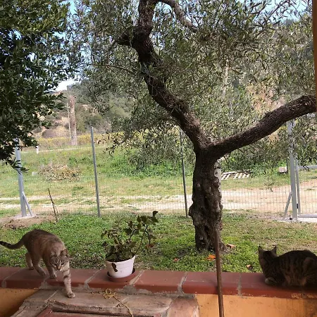 Villetta L'Aranceto Casa Immersa In Campagna